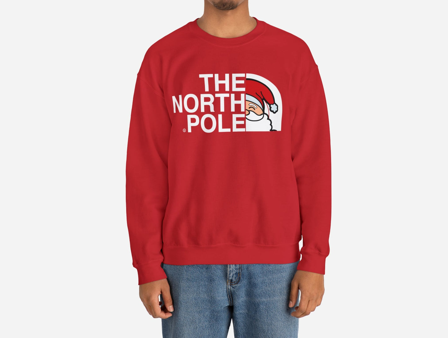 THE NORTH POLE TNF SANTA CHRISTMAS SWEATSHIRT